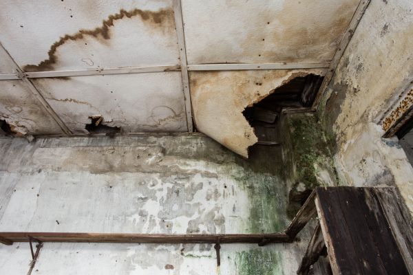 Water Damage Service in Allen