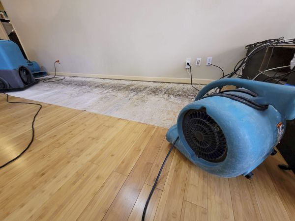 Water Damage Mitigation in Allen