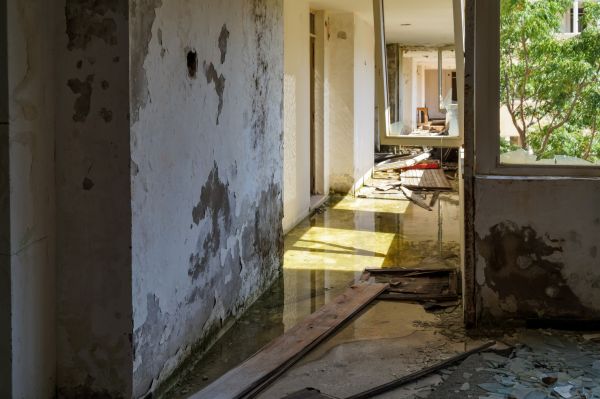 Water Removal Service in Allen