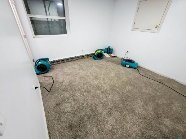 Flood Restoration Service in Allen