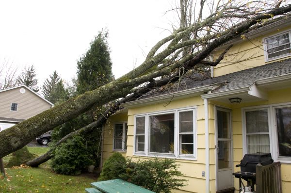 Hurricane Damage Repair in Allen
