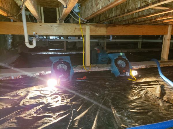 Crawlspace Water Removal in Allen